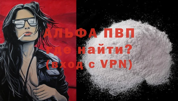 СК Волосово