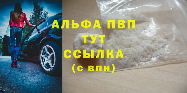 СК Волосово